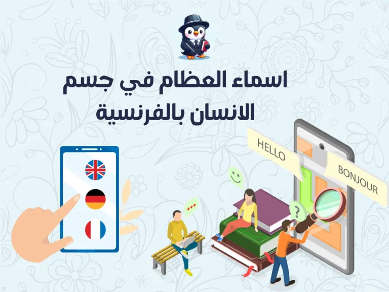 اسماء العظام في جسم الانسان بالفرنسية بالتفصيل
